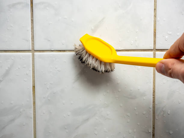 Office Mold Removal Services in Decatur, GA