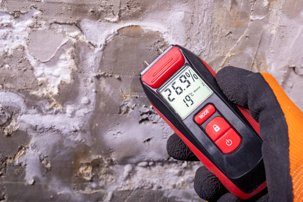Best Mold Testing  in Decatur, GA