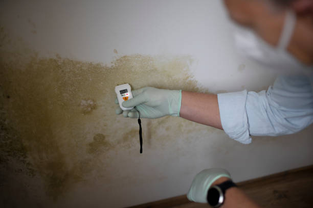 Home Mold Removal in Decatur, GA