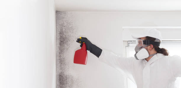 Best Residential Mold Removal  in Decatur, GA