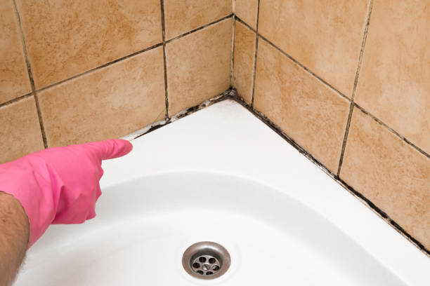 Best Office Mold Removal Services  in Decatur, GA